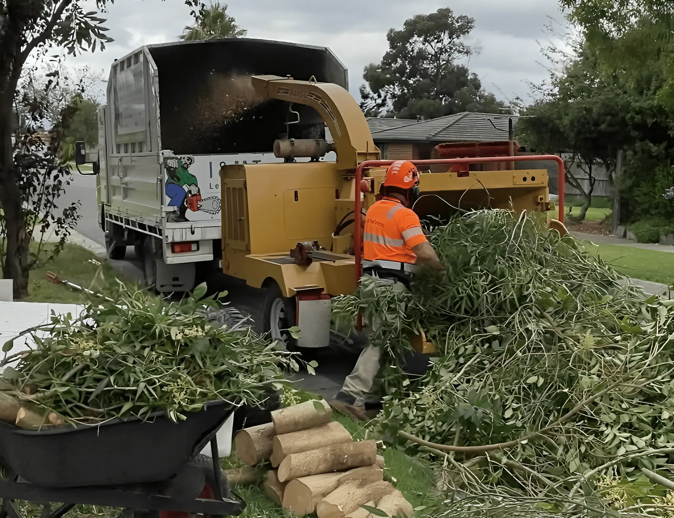 RedGum-tree-specialist (9)-min